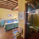 Antico Frantoio Pietrasanta Maison d'hôtes Marina di Pietrasanta