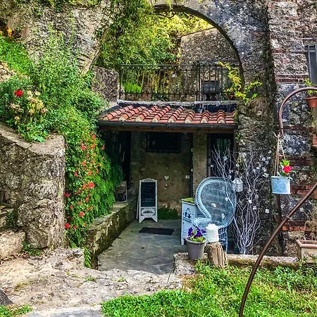 Antico Frantoio Guest house Pietrasanta