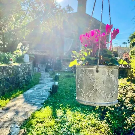 Antico Frantoio Guest house Pietrasanta
