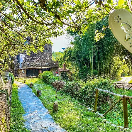 Guest house Antico Frantoio 2*
