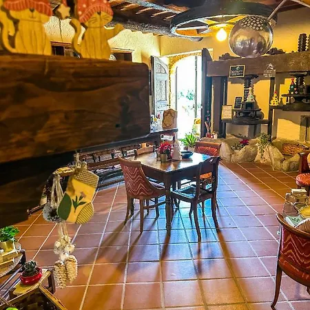 Guest house Antico Frantoio