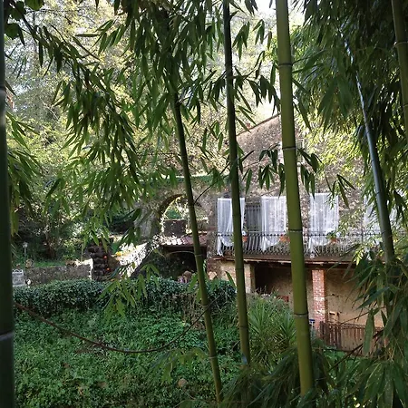 Antico Frantoio Guest house