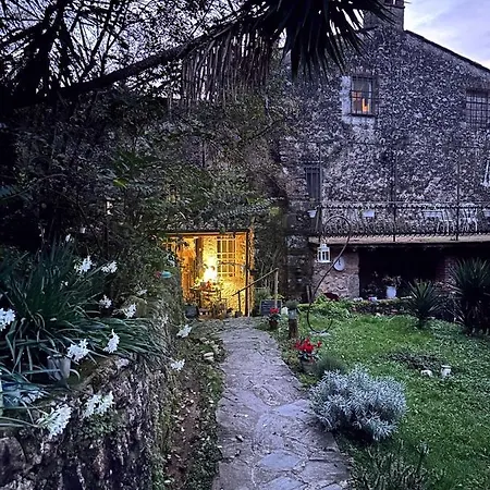 Antico Frantoio Guest house Pietrasanta
